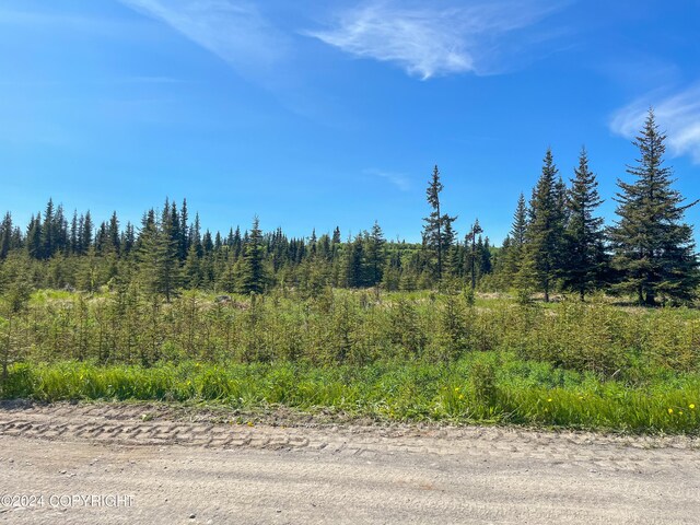 L18 Sonny St, Anchor Point, AK 99556