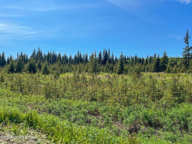 L18 Sonny St, Anchor Point, AK 99556