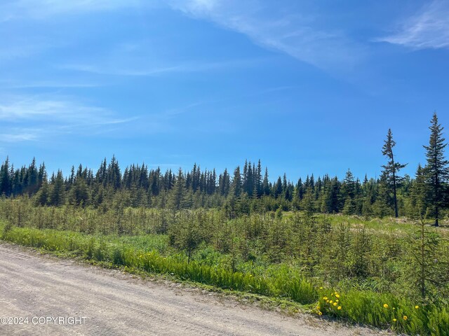 L18 Sonny St, Anchor Point, AK 99556