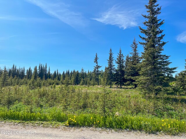 L18 Sonny St, Anchor Point, AK 99556