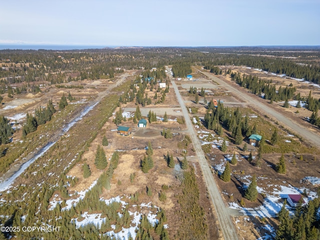L18 Sonny St, Anchor Point, AK 99556