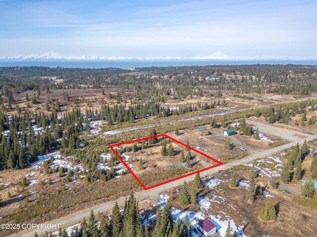 L18 Sonny St, Anchor Point, AK 99556