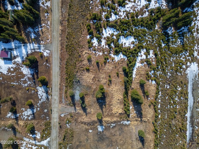 L18 Sonny St, Anchor Point, AK 99556