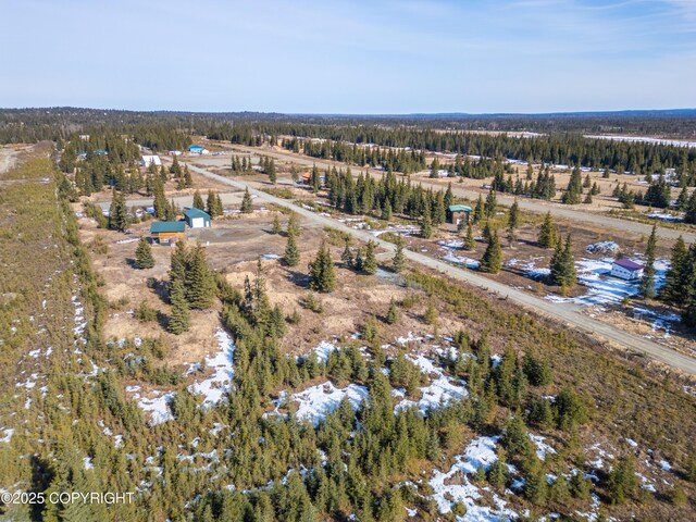 L18 Sonny St, Anchor Point, AK 99556