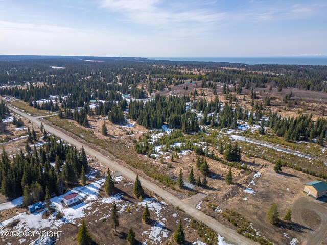 L18 Sonny St, Anchor Point, AK 99556