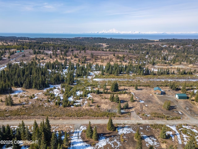L18 Sonny St, Anchor Point, AK 99556