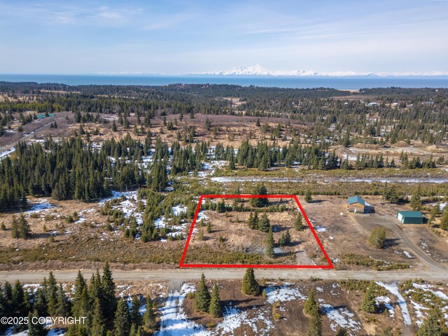 L18 Sonny St, Anchor Point, AK 99556