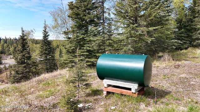 53160 Stol Rd, Clam Gulch, AK 99568 - exterior view of a heavily wooded area