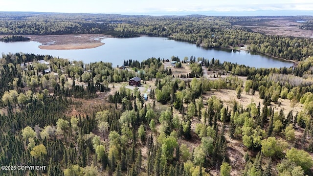 53160 Stol Rd, Clam Gulch, AK 99568 - aerial view of a forest and a nearby body of water