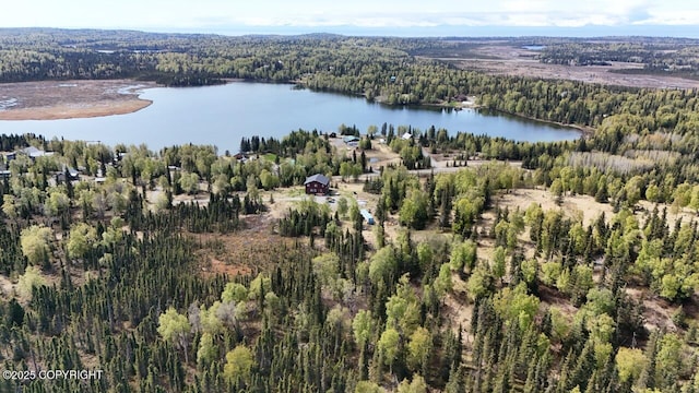 53160 Stol Rd, Clam Gulch, AK 99568 - aerial view of property and surrounding area with a heavily wooded area and a nearby body of water