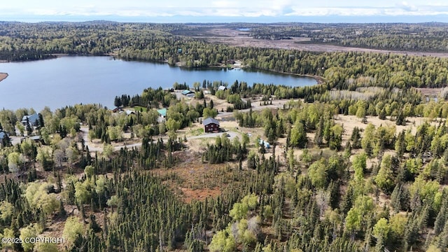 53160 Stol Rd, Clam Gulch, AK 99568 - aerial overview of property's location featuring a forest and a nearby body of water