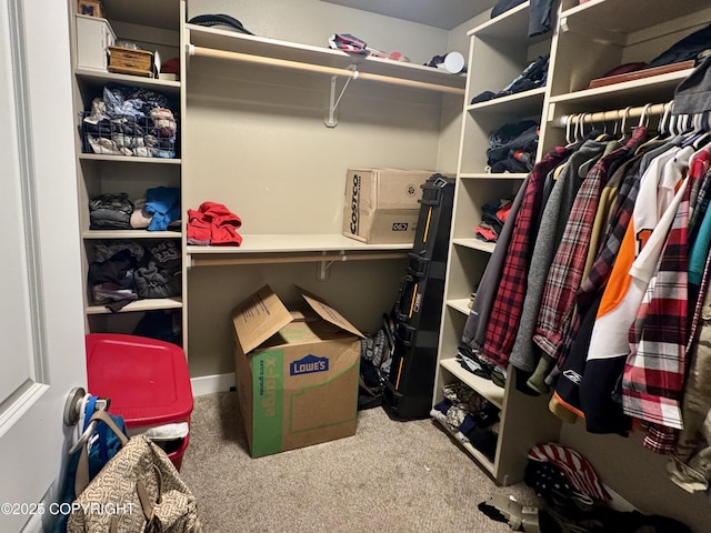 walk in closet featuring carpet