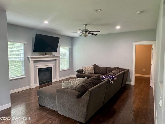 6230 N Crupperdock Dr, Palmer, AK 99645 - living area with ceiling fan, a glass covered fireplace, dark wood finished floors, and recessed lighting
