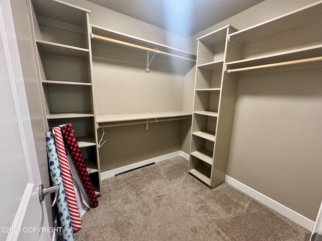6230 N Crupperdock Dr, Palmer, AK 99645 - walk in closet with carpet flooring