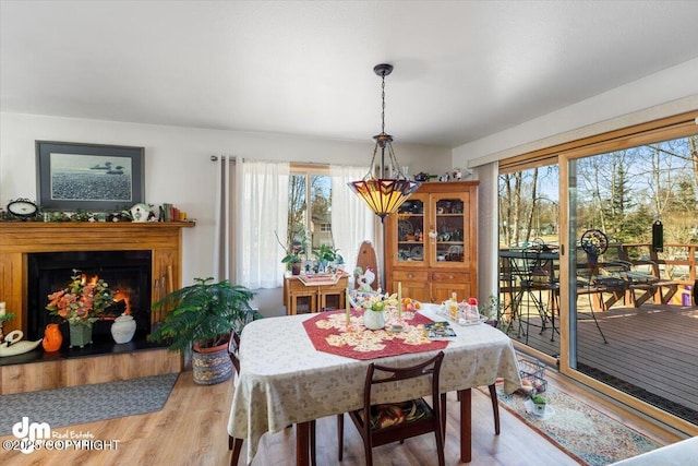 dining room with wood finished floors, a lit fireplace, and plenty of natural light