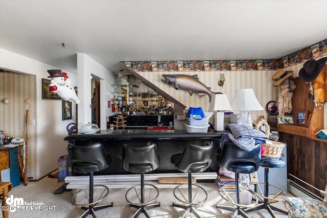 bar with carpet and a bar