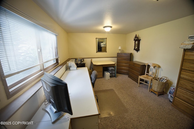 104 Beech Ave, Kenai, AK 99611 - view of carpeted office space