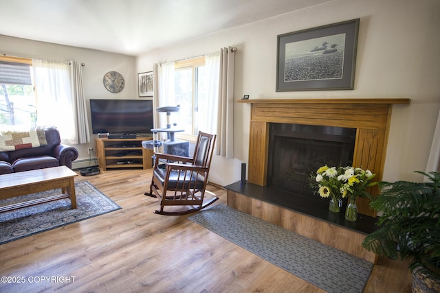 104 Beech Ave, Kenai, AK 99611 - living room with a baseboard heating unit, wood finished floors, healthy amount of natural light, and a fireplace with raised hearth
