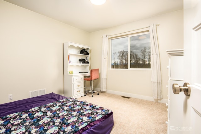 3030 E Sandman Cir, Wasilla, AK 99654 - bedroom featuring carpet and baseboards