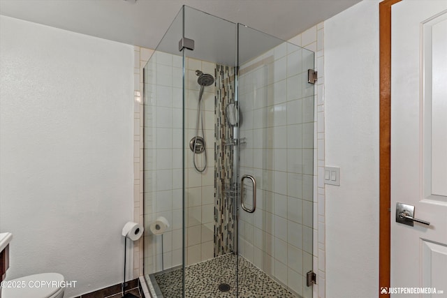 3915 Hiland Rd, Eagle River, AK 99577 - bathroom with a stall shower and toilet