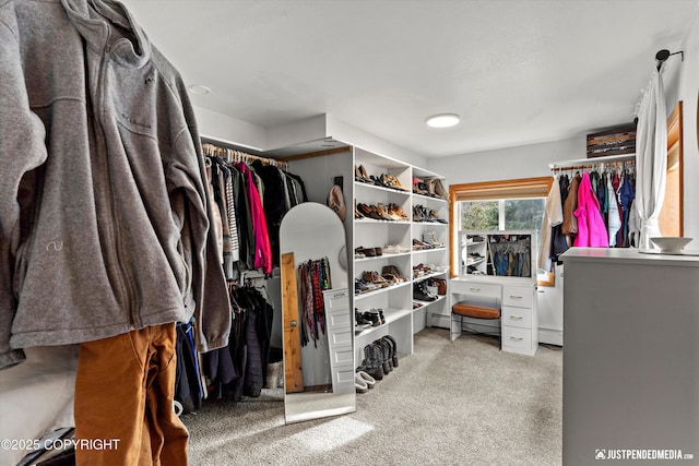 3915 Hiland Rd, Eagle River, AK 99577 - walk in closet featuring carpet flooring and baseboard heating