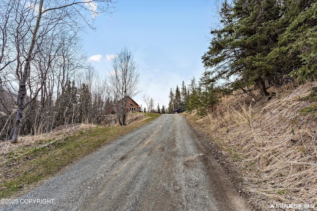 3915 Hiland Rd, Eagle River, AK 99577 - view of street