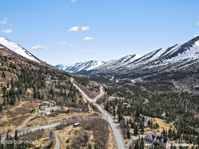 3915 Hiland Rd, Eagle River, AK 99577 - mountain view featuring a heavily wooded area