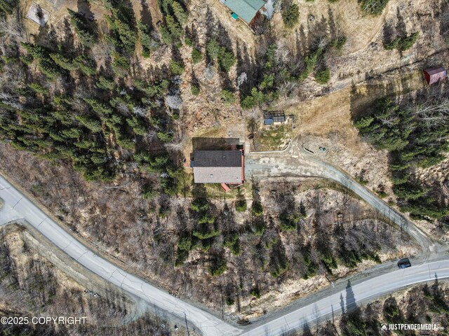 3915 Hiland Rd, Eagle River, AK 99577 - aerial overview of property's location