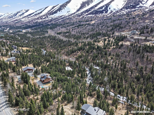 3915 Hiland Rd, Eagle River, AK 99577 - aerial view of property's location featuring a mountain backdrop and a forest
