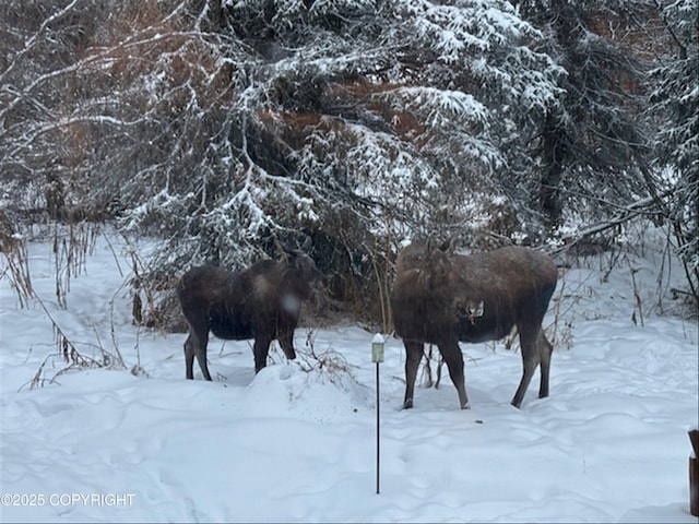 3915 Hiland Rd, Eagle River, AK 99577 - view of yard covered in snow