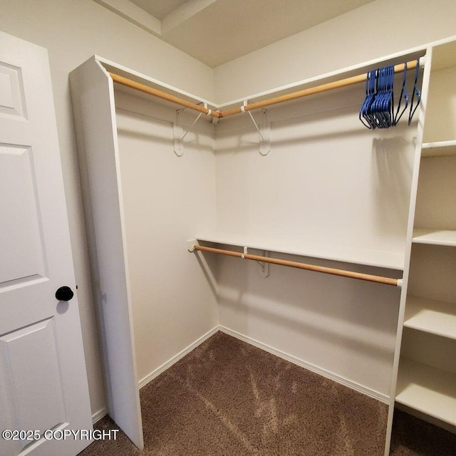 walk in closet featuring dark carpet