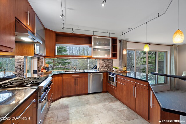 kitchen with appliances with stainless steel finishes, tasteful backsplash, a sink, dark stone counters, and under cabinet range hood