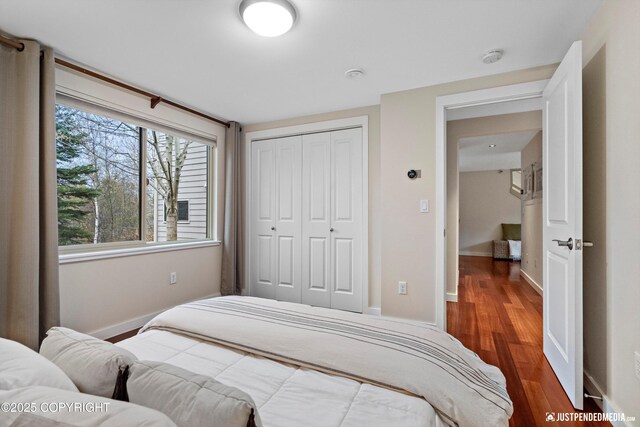 bedroom featuring baseboards, a closet, and wood finished floors