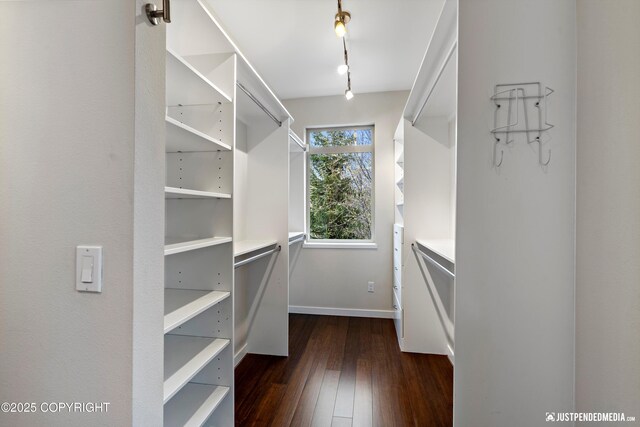 spacious closet with dark wood finished floors