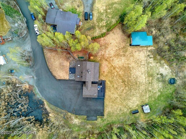 17720 Werre St, Chugiak, AK 99567 - bird's eye view