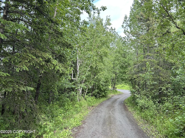 1900 N Green Forest Dr, Palmer, AK 99645 - view of street with a wooded view
