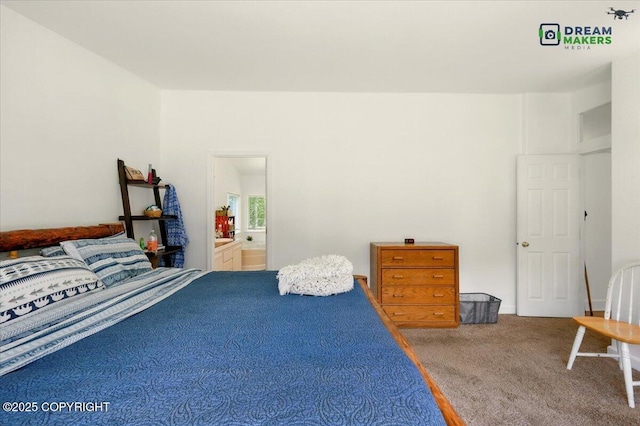 1900 N Green Forest Dr, Palmer, AK 99645 - bedroom featuring carpet floors and ensuite bathroom