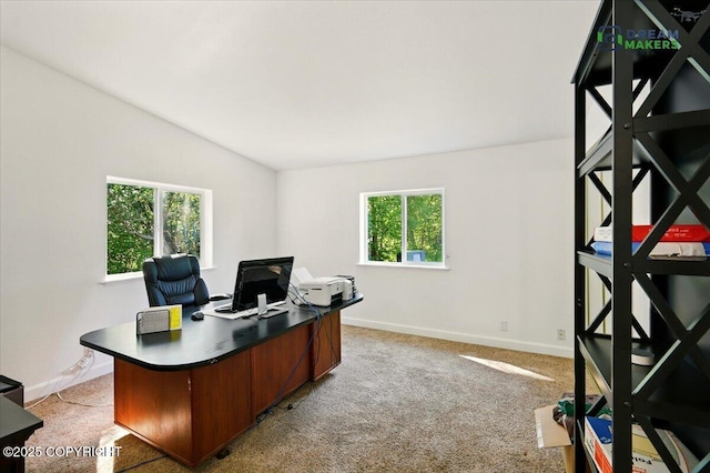 1900 N Green Forest Dr, Palmer, AK 99645 - office featuring light carpet and vaulted ceiling