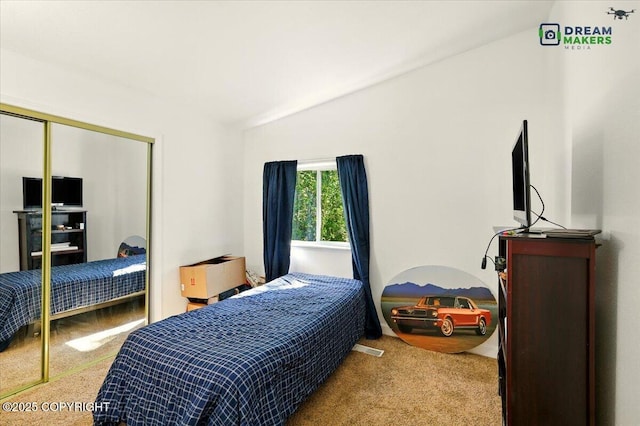 1900 N Green Forest Dr, Palmer, AK 99645 - carpeted bedroom featuring a closet and lofted ceiling