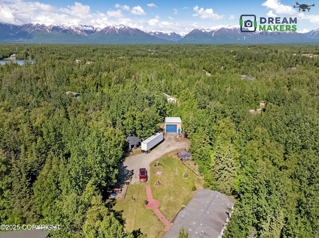 1900 N Green Forest Dr, Palmer, AK 99645 - aerial view of property's location with a heavily wooded area and a mountain backdrop
