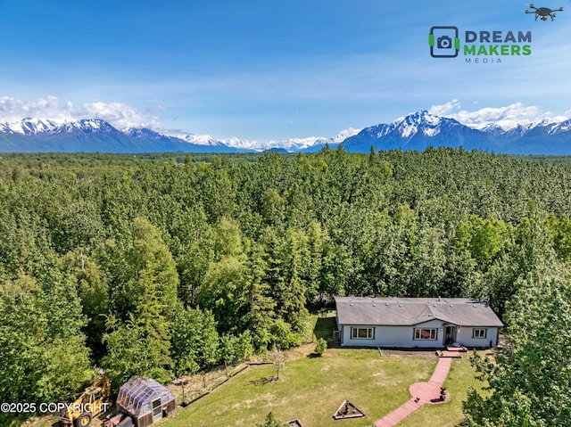 1900 N Green Forest Dr, Palmer, AK 99645 - mountain view with a heavily wooded area