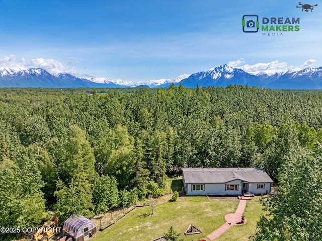 1900 N Green Forest Dr, Palmer, AK 99645 - mountain view featuring a forest