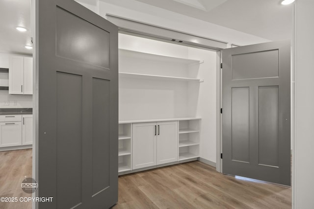 7177 N Paw St, Wasilla, AK 99654 - view of closet