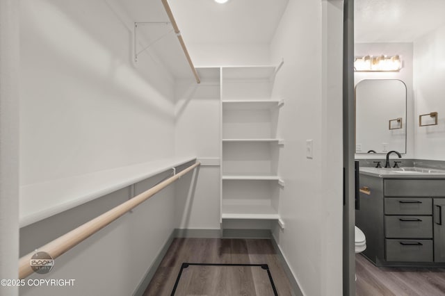 7177 N Paw St, Wasilla, AK 99654 - spacious closet featuring a sink and wood finished floors