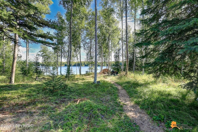2445 N Christine Dr, Wasilla, AK 99623 - photo 52