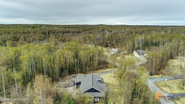 3541 E Wanamingo Dr, Wasilla, AK 99654 - aerial view with a view of trees