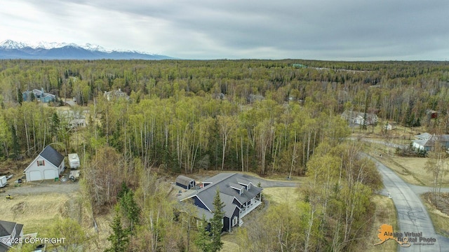 3541 E Wanamingo Dr, Wasilla, AK 99654 - drone / aerial view with a wooded view