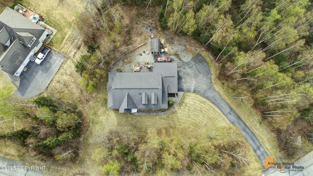 3541 E Wanamingo Dr, Wasilla, AK 99654 - bird's eye view
