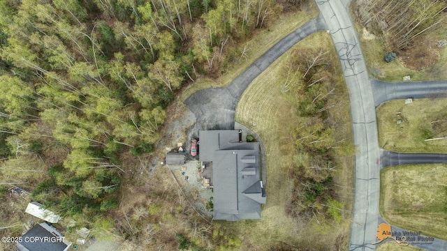 3541 E Wanamingo Dr, Wasilla, AK 99654 - bird's eye view