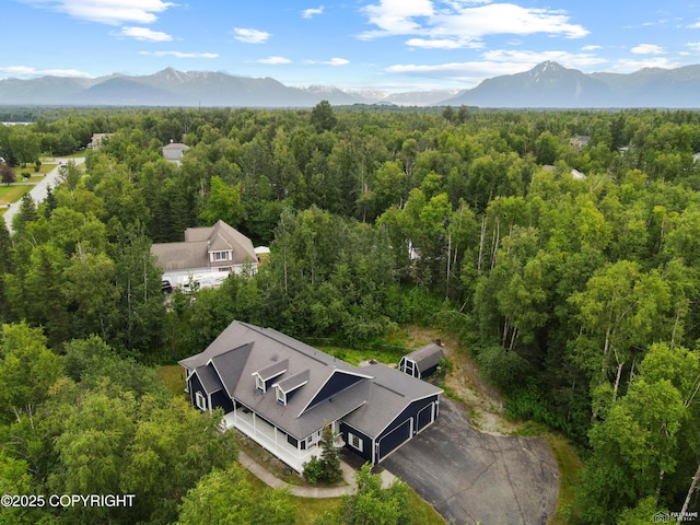 3541 E Wanamingo Dr, Wasilla, AK 99654 - photo 40